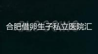 合肥借卵生子私立医院汇总，2024哪家排名好一览了然